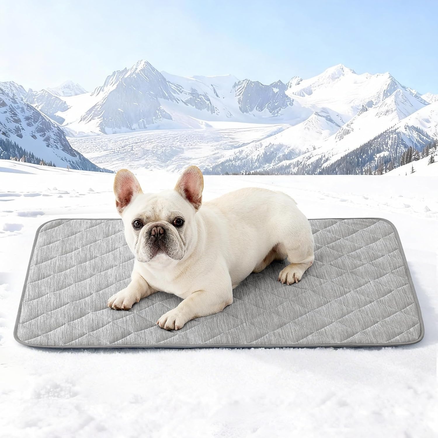 image:imageCOZY KISS Extra Large Dog Cooling Mat 52x82 QMaxgt04 Waterproof amp Leakproof Pet Bed Cover NonSlip Cooling Dog Blanket for Couch Floor Large Dogs GrayGray
