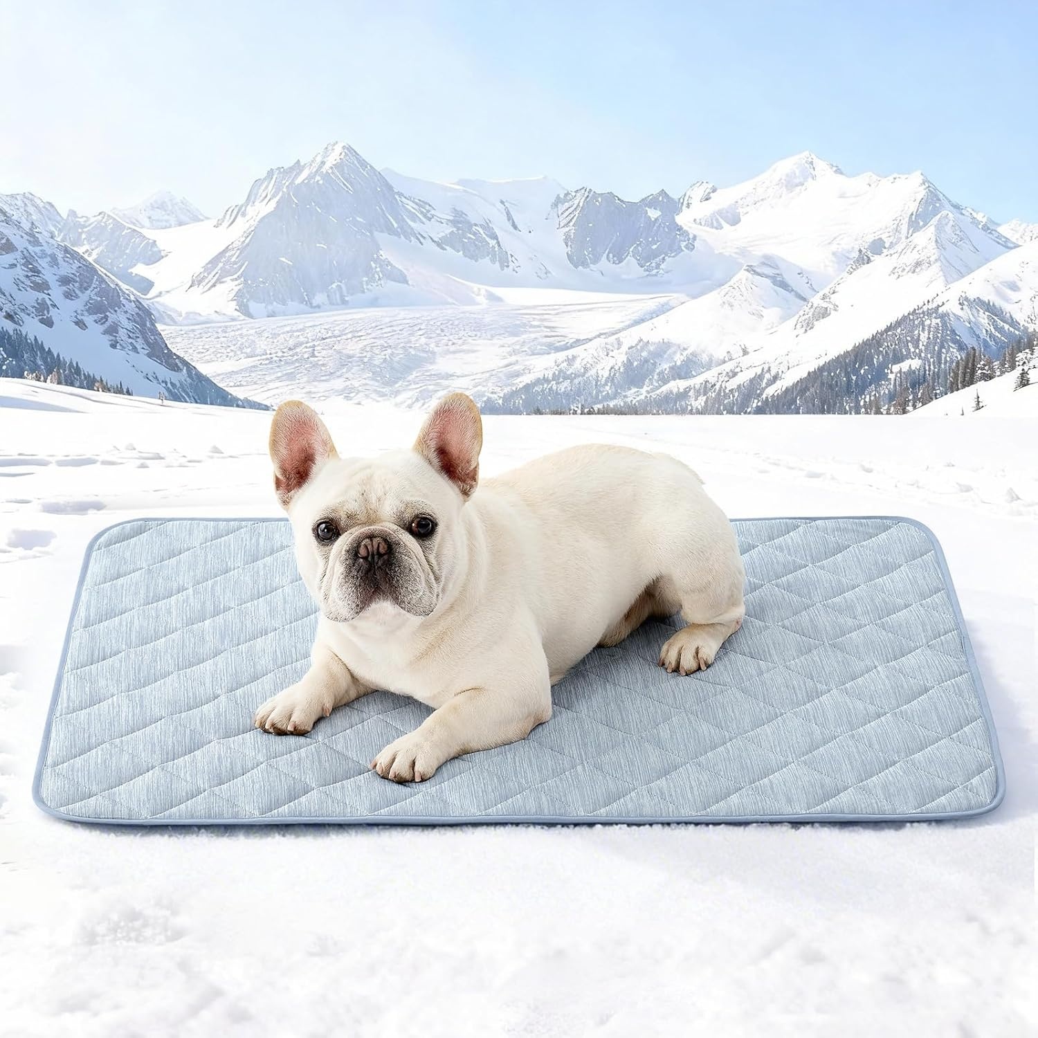 image:imageCOZY KISS Extra Large Dog Cooling Mat 52x82 QMaxgt04 Waterproof amp Leakproof Pet Bed Cover NonSlip Cooling Dog Blanket for Couch Floor Large Dogs GrayBlue