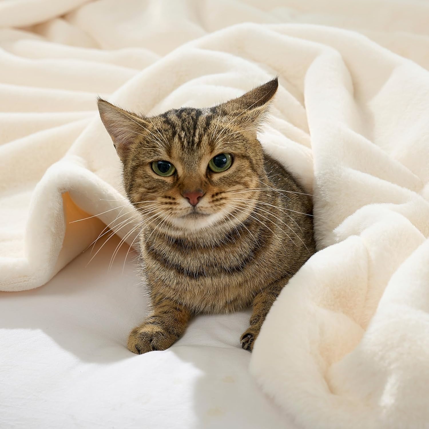 image:imageCOZY KISS Luxury Faux Fur Throw Blanket for Couch Ultra Soft Waterproof Pet Blanket Cozy Warm Plush Blanket for Sofa Bedroom Living Room Liquid Pee Proof for Large Dog or Cat 50x60 inch CreamCream