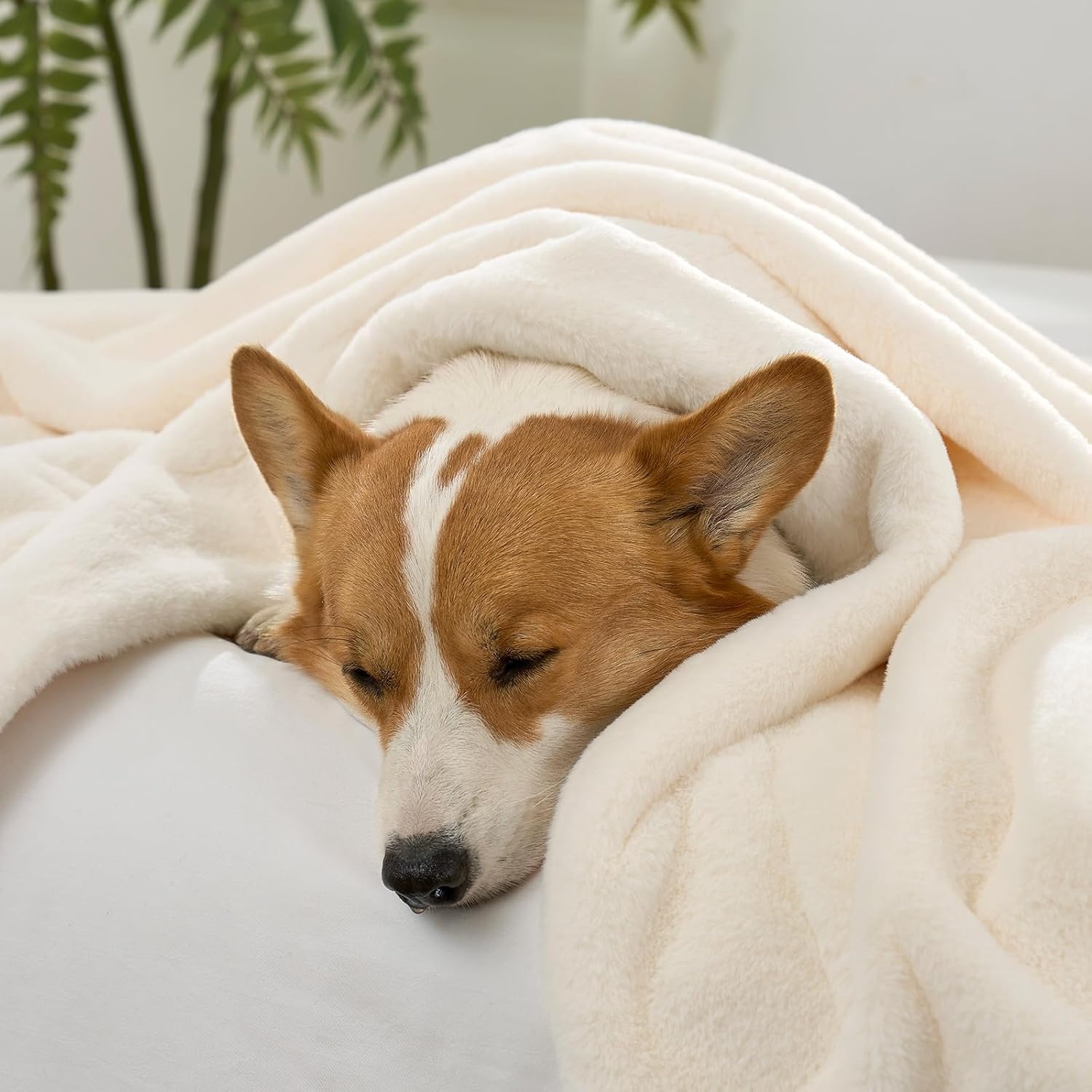 image:imageCOZY KISS Luxury Faux Fur Throw Blanket for Couch Ultra Soft Waterproof Pet Blanket Cozy Warm Plush Blanket for Sofa Bedroom Living Room Liquid Pee Proof for Large Dog or Cat 50x60 inch CreamCream