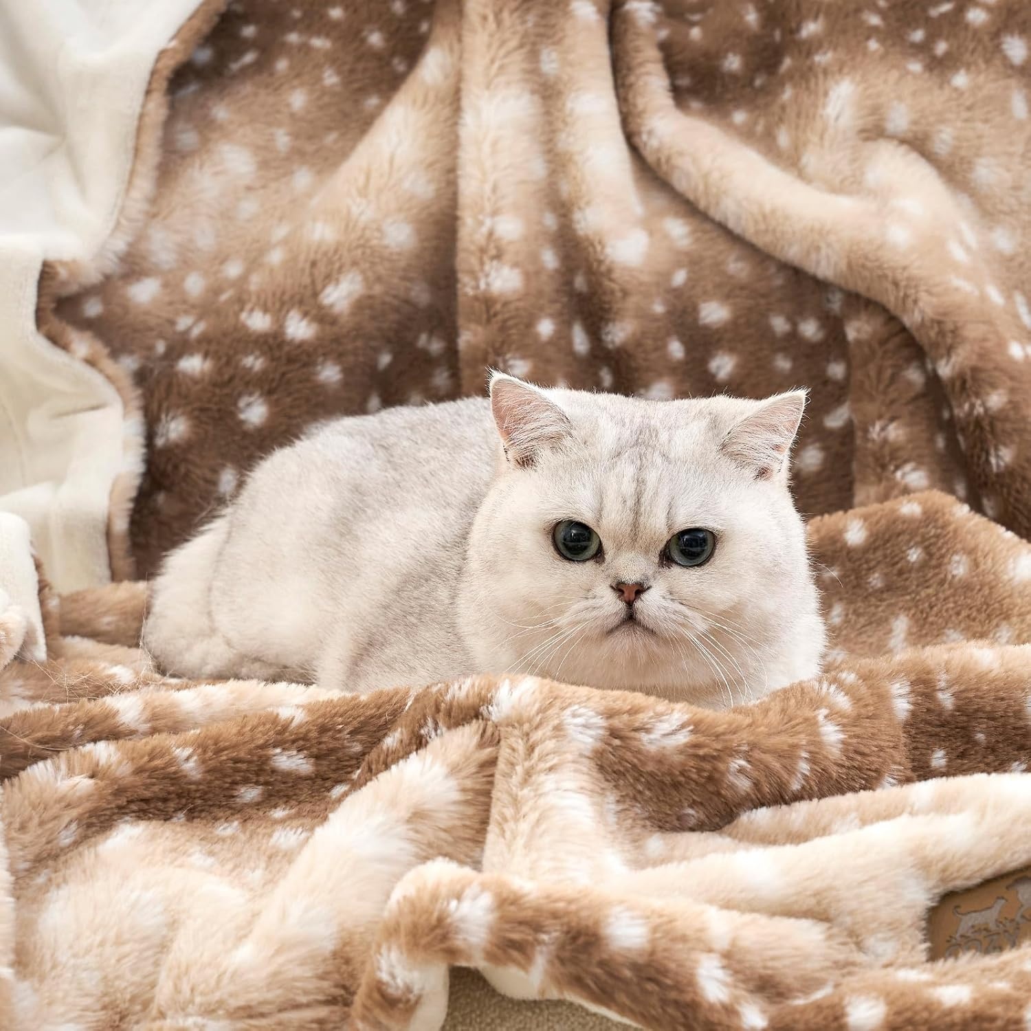 image:imageCOZY KISS Waterproof Pet Blanket Christmas Deer Print Blanket for Bed Couch Protector Reversible Washable Plush Dog Faux Fur Throw for Puppy Double Sided Cat Blanket 30x40 inch BrownBrown Deer