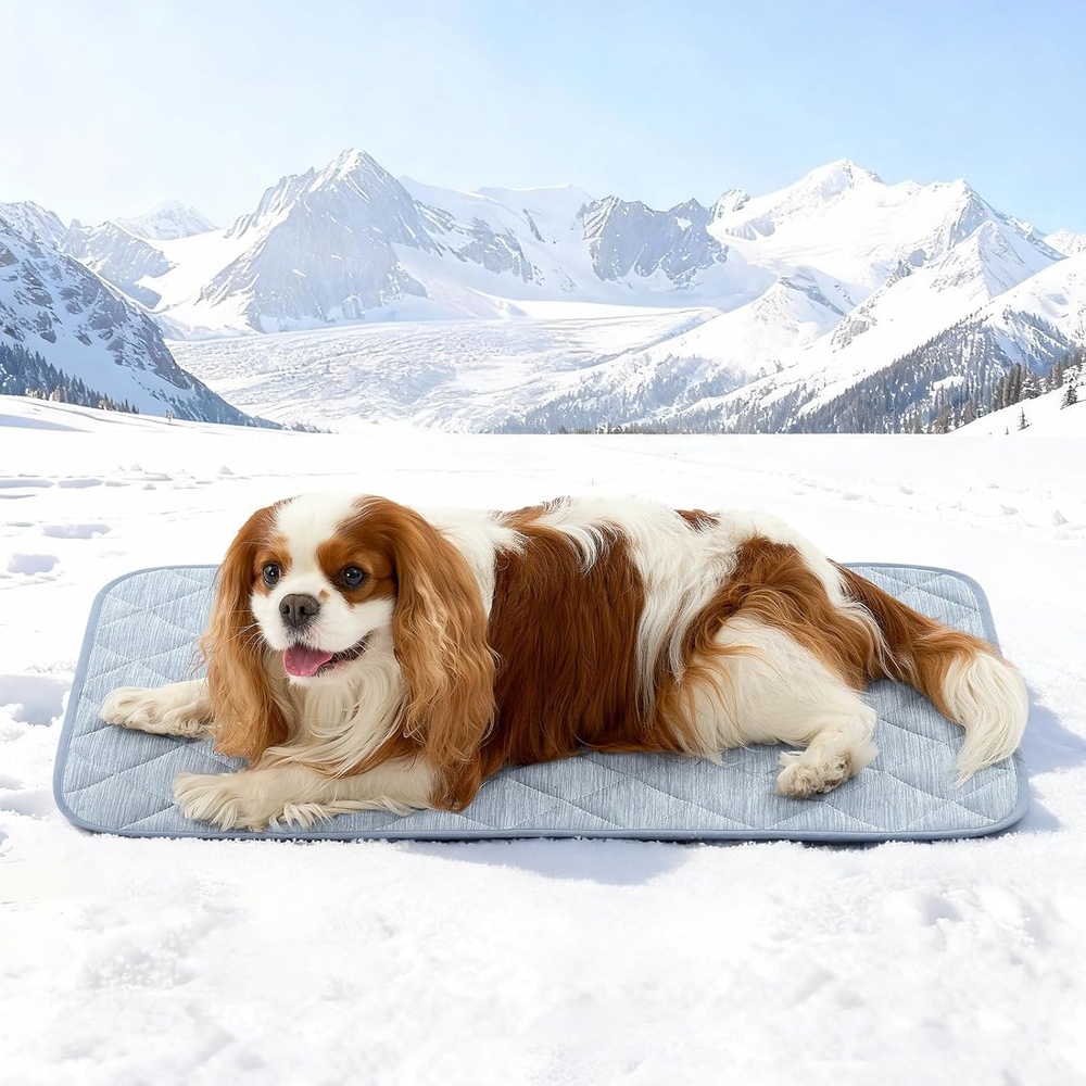 image:imageCOZY KISS Extra Large Dog Cooling Mat 52x82 QMaxgt04 Waterproof amp Leakproof Pet Bed Cover NonSlip Cooling Dog Blanket for Couch Floor Large Dogs GrayBlue