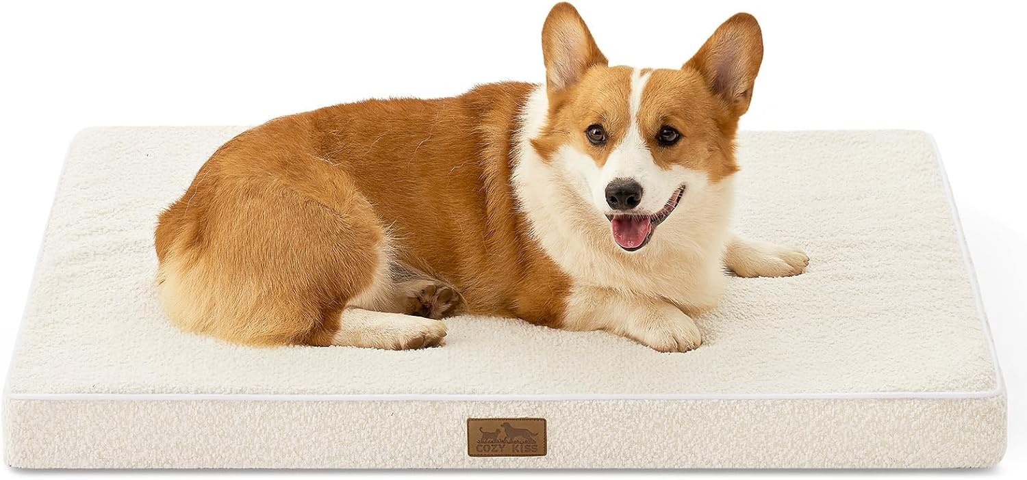 image:imageCOZY KISS Dog Crate Bed for Small Size Dogs Rectangular Orthopedic Cat Beds Foam AntiSlip Bottom Pet Mat with Washable Removable Cover Suitable for Pet Up to 30 lbs 24x16x3 inch BeigeBeige