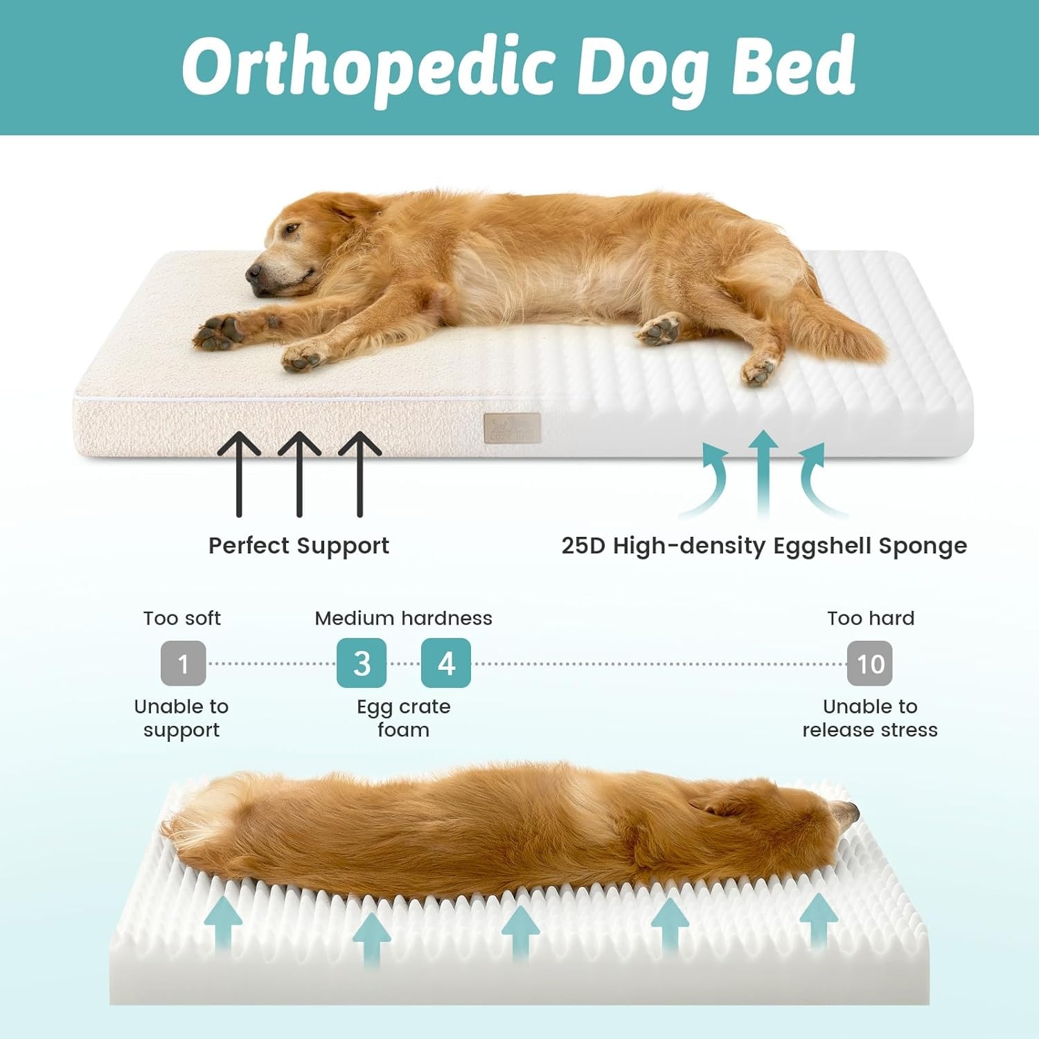 image:imageCOZY KISS Dog Crate Bed for Small Size Dogs Rectangular Orthopedic Cat Beds Foam AntiSlip Bottom Pet Mat with Washable Removable Cover Suitable for Pet Up to 30 lbs 24x16x3 inch BeigeBeige